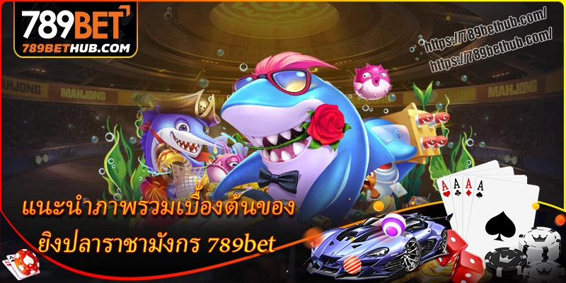 แนะนำภาพรวมเบื้องต้นของ ยิงปลาราชามังกร 8xbet